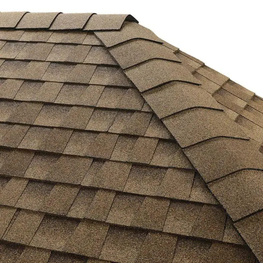 Asphalt shingle texture and ridge detail