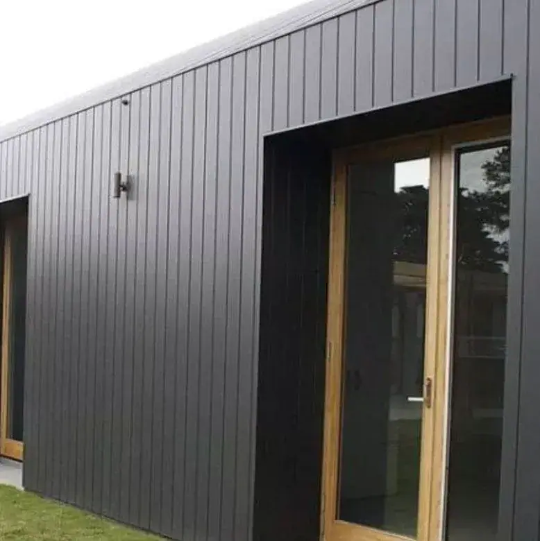 Modern house with vinyl siding wall cladding